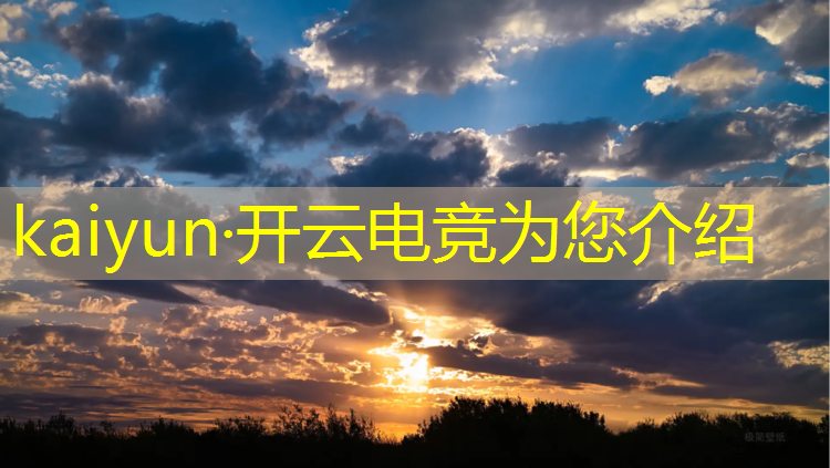 开云电竞为您介绍：联盟电竞经理cdkey