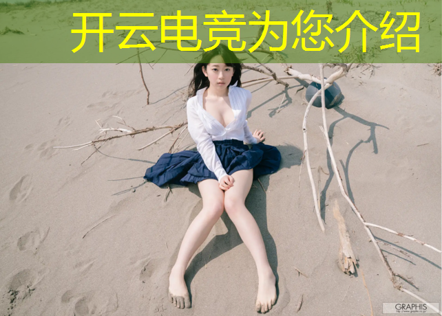 kaiyun·开云电竞为您介绍：王者荣耀电竞赛事队伍