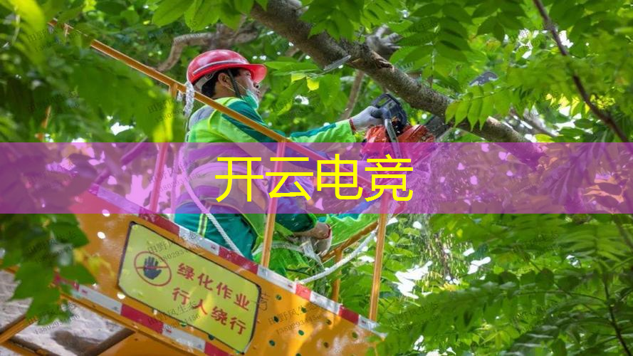 kaiyun电竞官方网站入口：驾驶类3d小游戏推荐大全