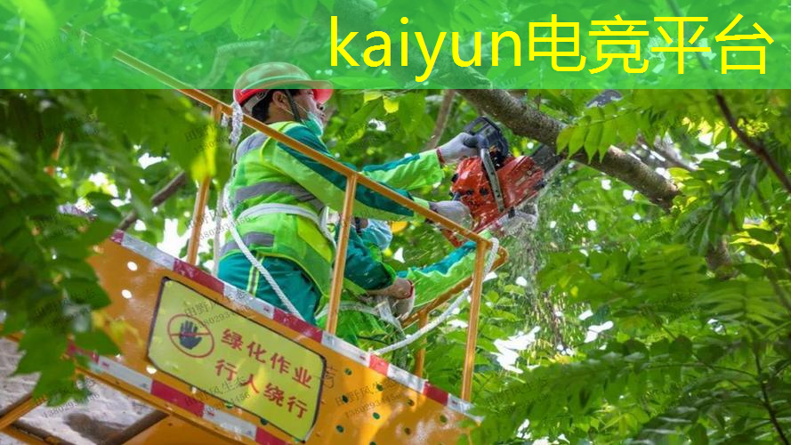畅游客栈小程序是什么游戏