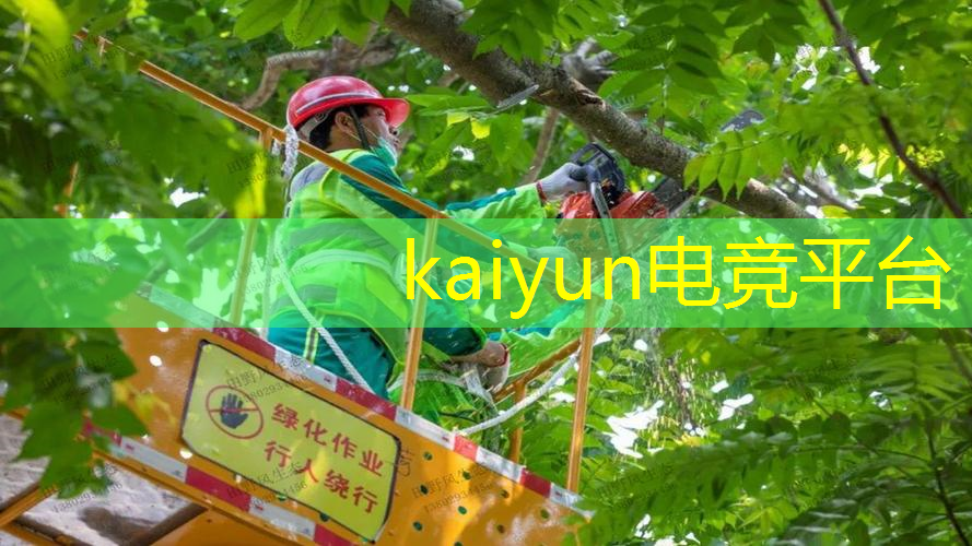 kaiyun电竞平台：小程序游戏文字传奇怎么玩