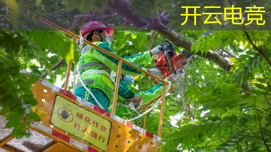 kaiyun电竞平台：3d变形金刚 4399游戏