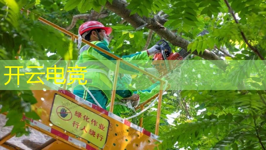 kaiyun电竞官方网站入口：机战王游戏原画维纳斯怎么获得