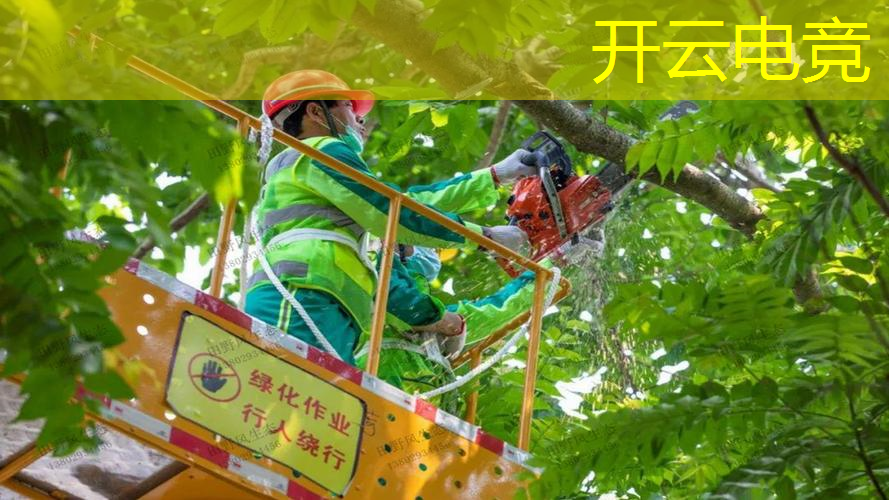 kaiyun电竞官方网站入口：电竞从业指南：中国青年电竞大赛为你开启电竞梦想之旅！