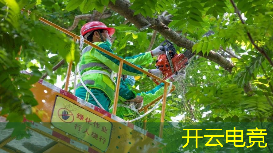 所有的3d人物跑酷游戏