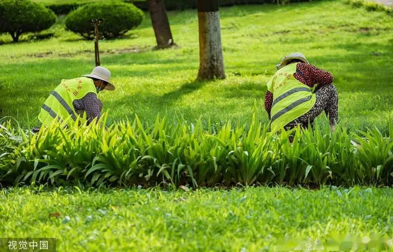 kaiyun·电竞：弹琴游戏 小程序