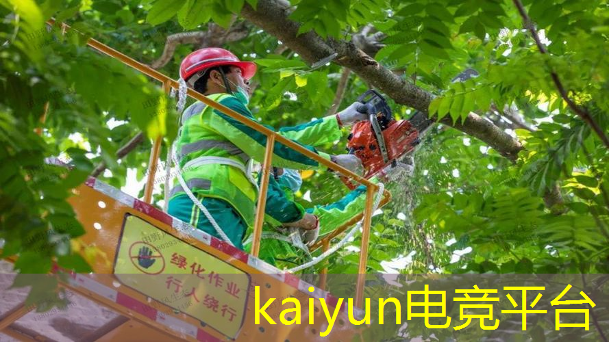 角色游戏原画形状怎么看