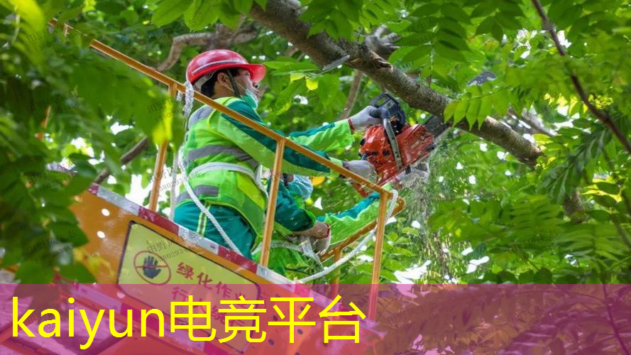 3d变形金刚 4399游戏