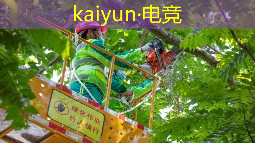 电竞从业指南：中国青年电竞大赛为你开启电竞梦想之旅！