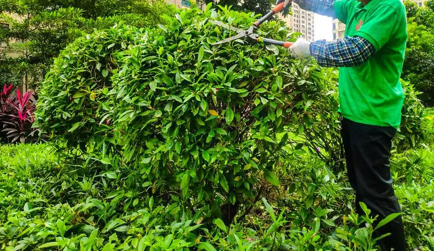华东青年电竞大赛：是否有比赛规则？在哪里可以查看？